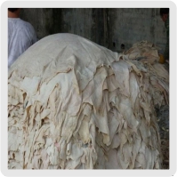 سالامبور گوسفندی