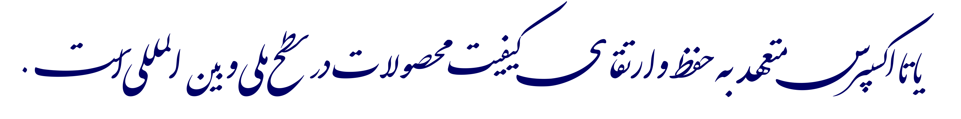 یاتااکسپرس